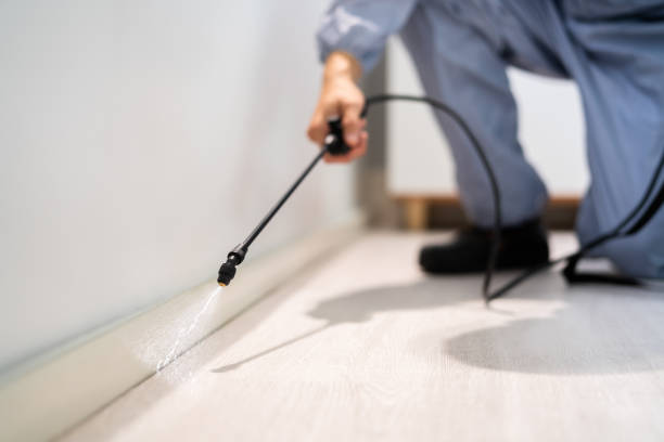 Licensed Termite Control service in Westover, WV - Nex Pest Control