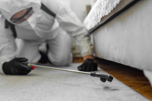 Professional Termite Control technician working in Westover, WV